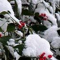 DSCN8714b