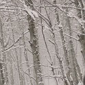 DSCN8716