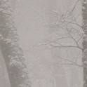 DSCN8721crop
