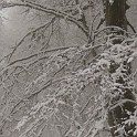 DSCN8725