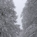 DSCN8733