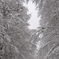 DSCN8738