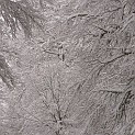 DSCN8743