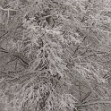 DSCN8746