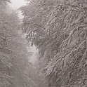 DSCN8747