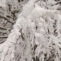 DSCN8748