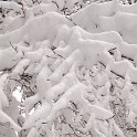 DSCN8749