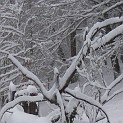 DSCN8752