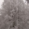 DSCN8766