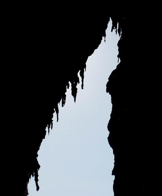 DSCN8816