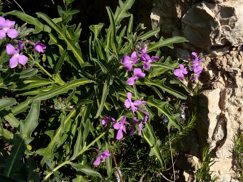 DSCN8847