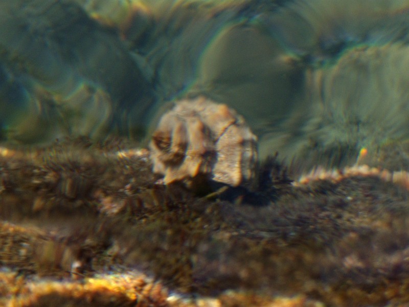 DSCN8889