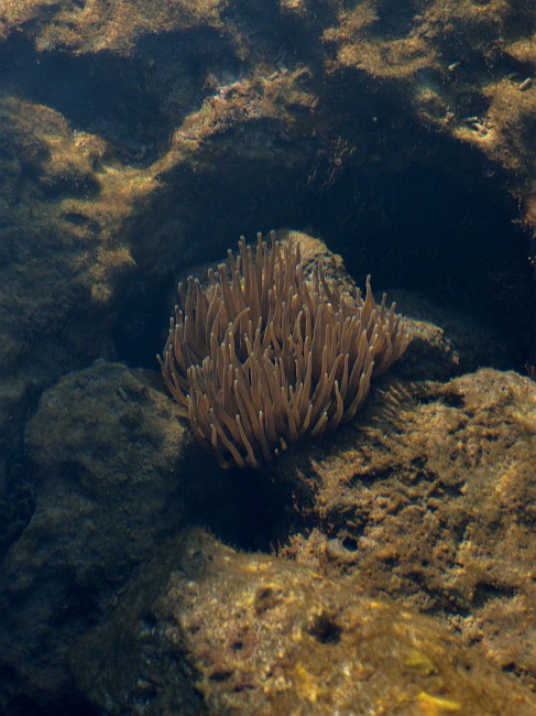 DSCN8938b