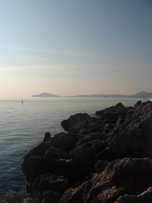 DSCN8959