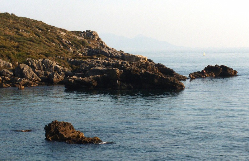 DSCN8968