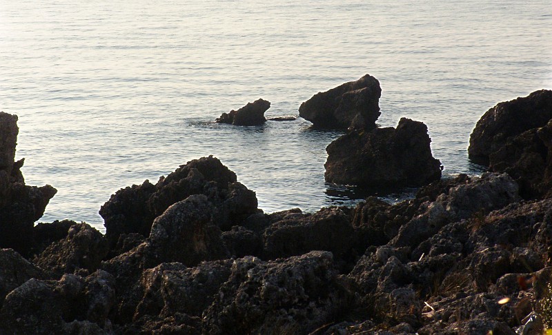 DSCN8969