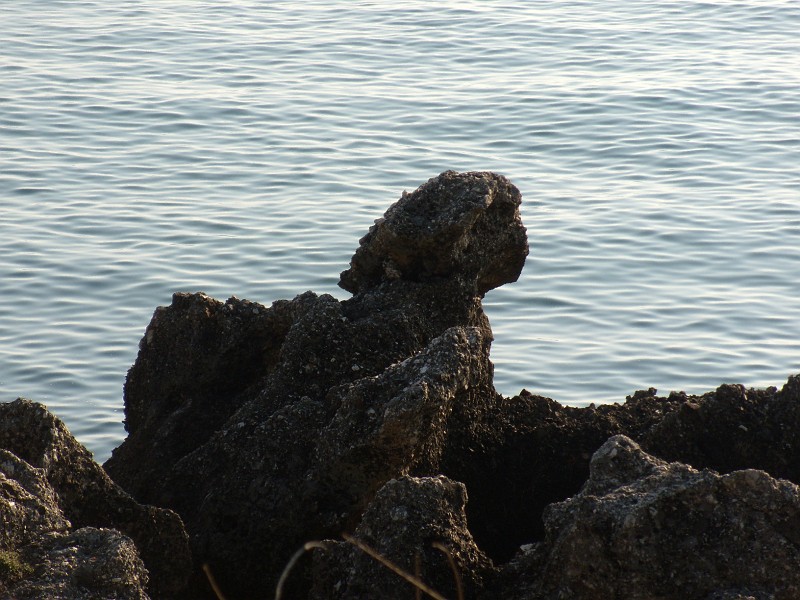 DSCN8970