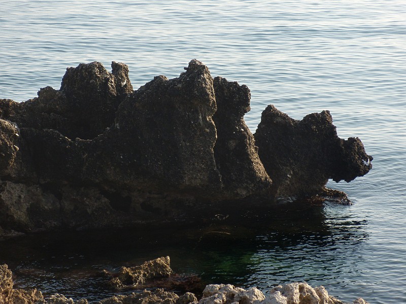 DSCN8974