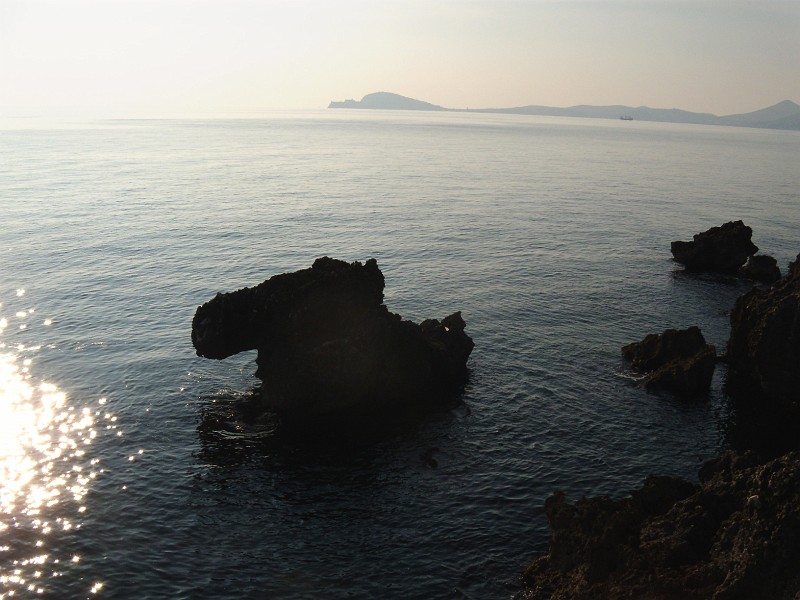 DSCN8978