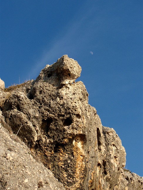 DSCN8989