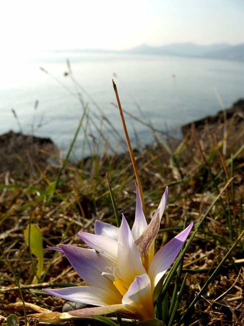 DSCN9000