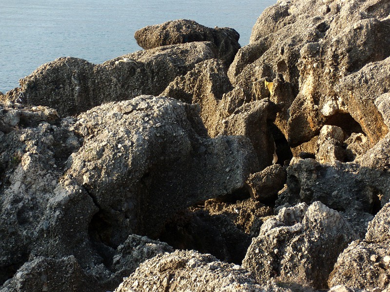DSCN9004