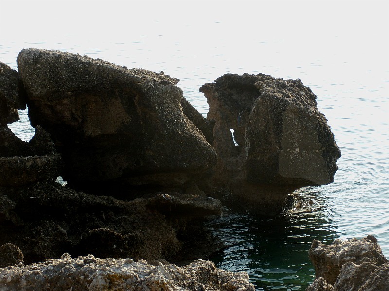 DSCN9006