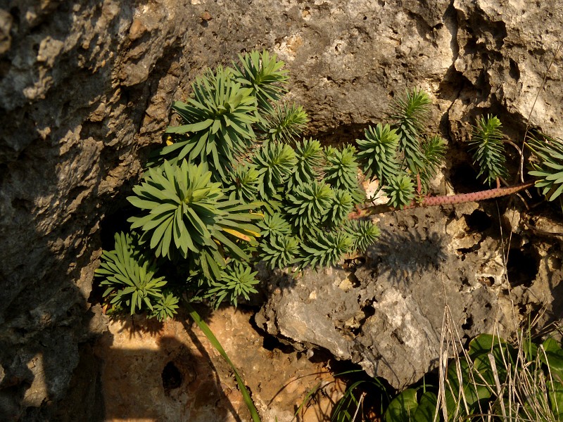 DSCN9022