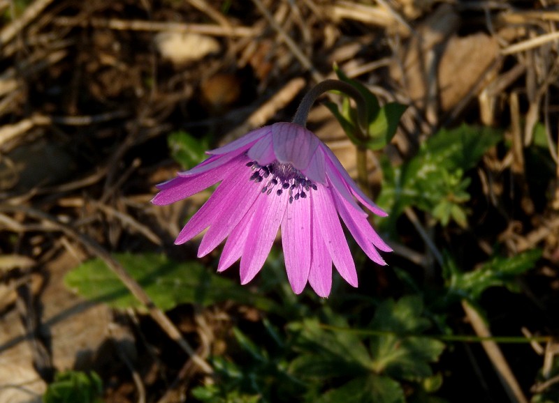 DSCN9039