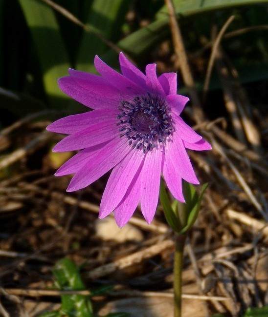DSCN9040