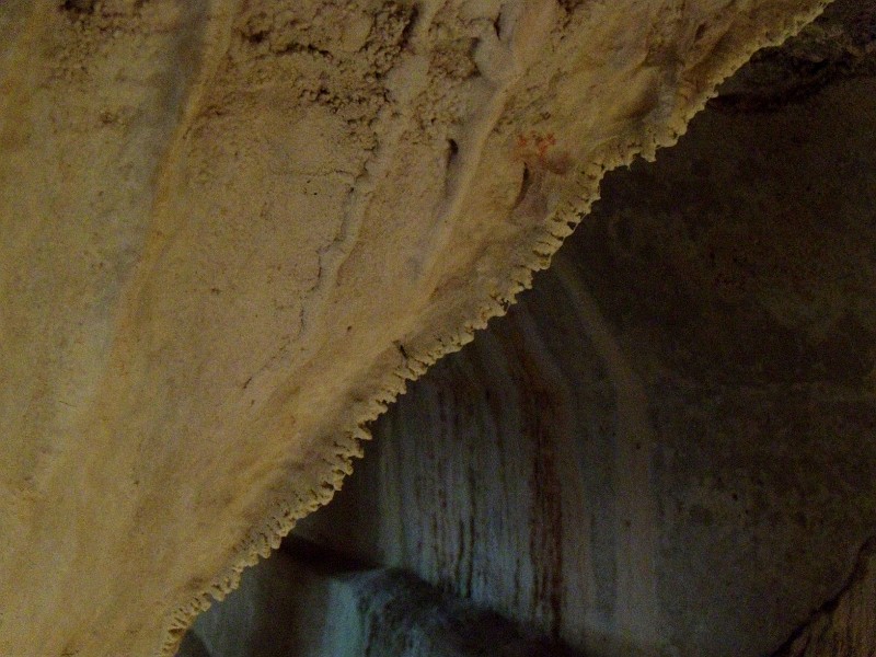 DSCN9065