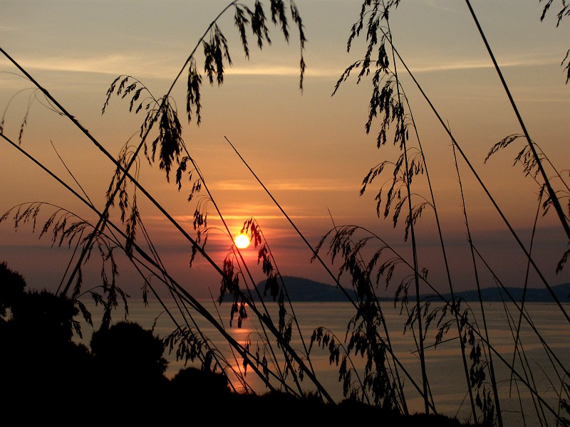DSCN9108