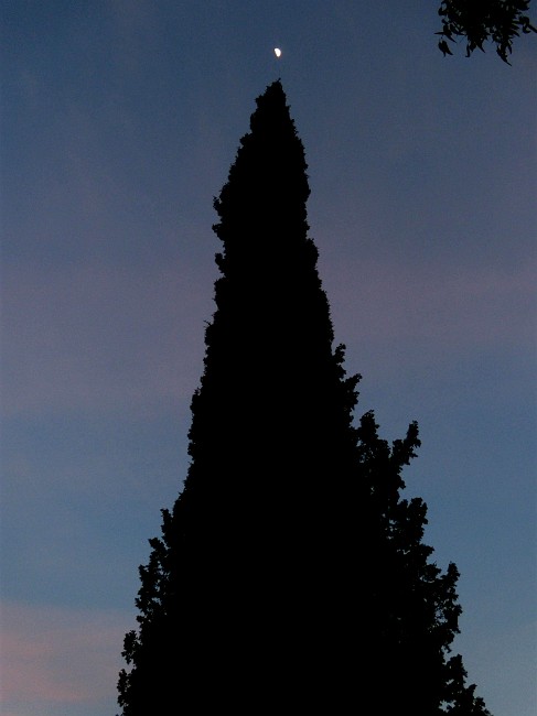 DSCN9129