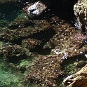 DSCN8795