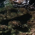 DSCN8796