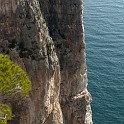 DSCN8823