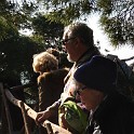 DSCN8831
