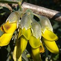 DSCN8857