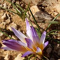 DSCN8866