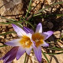 DSCN8869