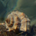 DSCN8889