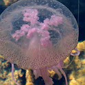 DSCN8935