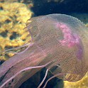 DSCN8936