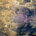 DSCN8936b
