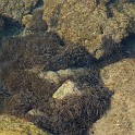 DSCN8937