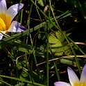 DSCN8943
