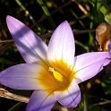 DSCN8944