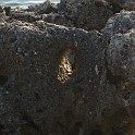 DSCN8961