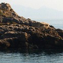 DSCN8968