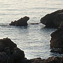 DSCN8969